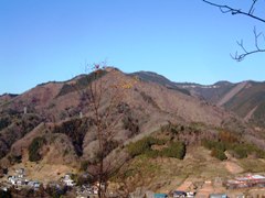 三本杉山