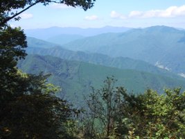 権現山の北の景色