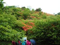 案内板の前