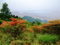 ハンゼノ頭からの展望