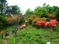 高原から笠取林道に上る
