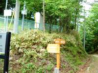 笠取から斉木林道