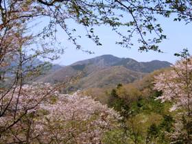 弘法山公園