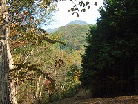 小河内峠から御前山