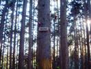 高水山登山口