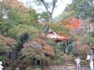 常福院