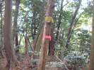 永栗ノ峰の山頂