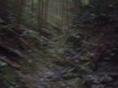 道の沢