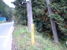 採石場前の車道