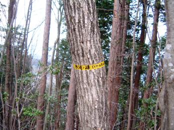 六つ石山山頂
