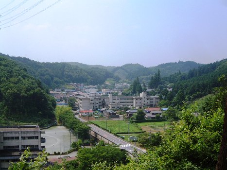 䋴oX