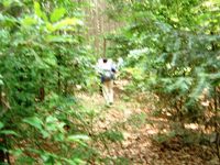 指倉峠を西へ尾根道の状況