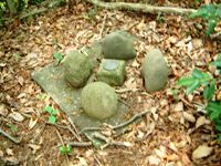 青梅51基準点