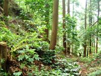 吹上峠