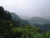 林道分岐点