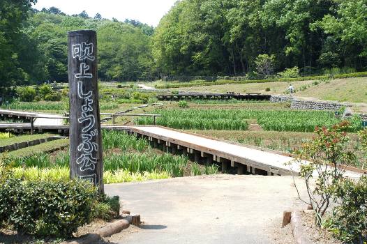しょうぶ公園入口
